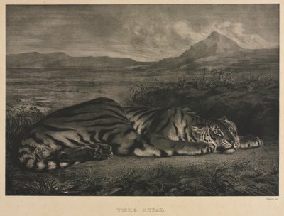Tigre Royal door Ferdinand Victor Eugene Delacroix