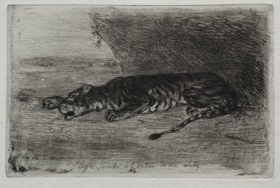Liggende tijger bij de ingang van zijn hol door Ferdinand Victor Eugene Delacroix
