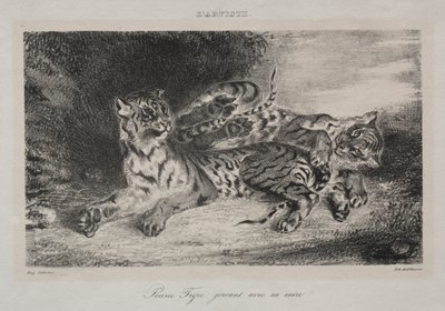 Jonge tijger die met zijn moeder speelt door Ferdinand Victor Eugene Delacroix