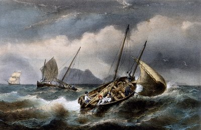 Sardinevissen langs de kust van Bretagne, Kleurenlithografie door Ferdinand Perrot (1808-1841) door Ferdinand Victor Perrot