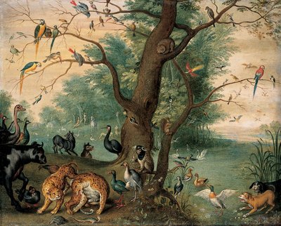 Dieren en vogels in de Hof van Eden door Ferdinand van Kessel