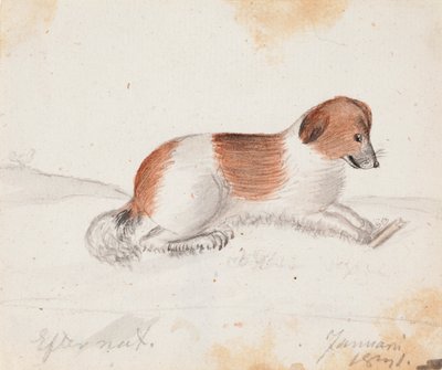 Hond door Ferdinand von Wright
