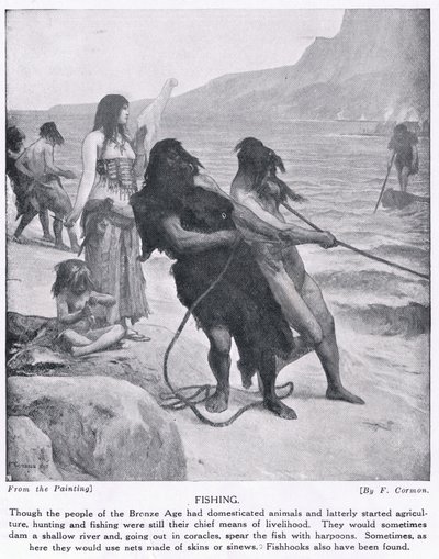 Vissen, illustratie uit 