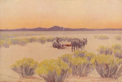 Arizona nagloed door Fernand Lungren