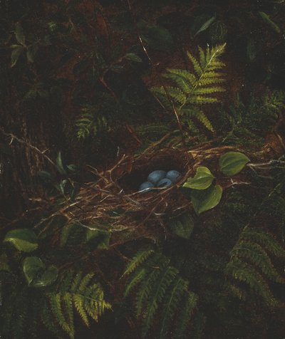 Vogelnest en varens door Fidelia Bridges