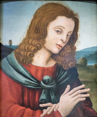 St. Johannes de evangelist, volgeling van Filippino Lippi door Filippino Lippi