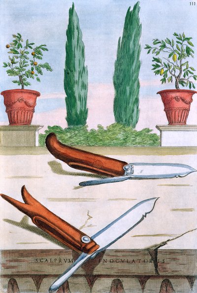 Tuingereedschap, uit 