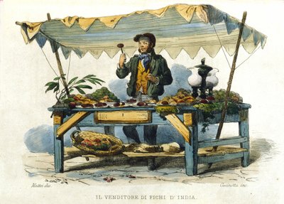 Kleine beroepen van de stad Napels: de verkoper van stekelige peren. Gravure naar een schilderij van F. Palizza. Uit een werk van Francesco de Bourcard 