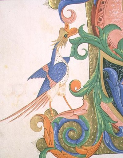 Fantastische vogel (detail) door Filippo di Matteo Torelli
