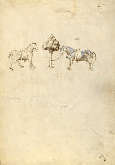 Twee paarden door Fiore Furlan dei Liberi da Premariacco