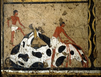 Egyptische antiquiteiten: een stier wordt geofferd voor een sarcofaag. Detrempe op klei en stro uit het graf van de generaal en kanselier van koning Iti in El Ghebelen nabij Luxor. 2200-2000 v.Chr. Turijn, Egyptisch museum door First Intermediate Period Egyptian