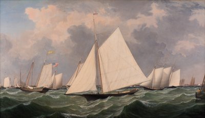 New York Yacht Club Regatta, 1856 door Fitz Henry Lane