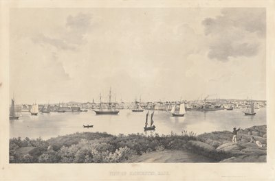 Uitzicht op Gloucester, Mass. door Fitz Henry Lane