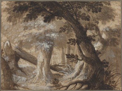 Bosinterieur door Flemish 17th Century