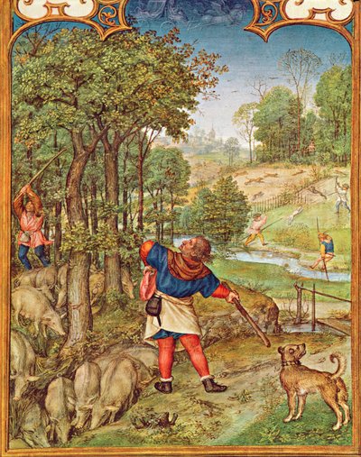 Fol.11v De Maand November: Eikels oogsten voor de varkens en jagen, uit het Breviarium Grimani, c.1515 door Flemish School