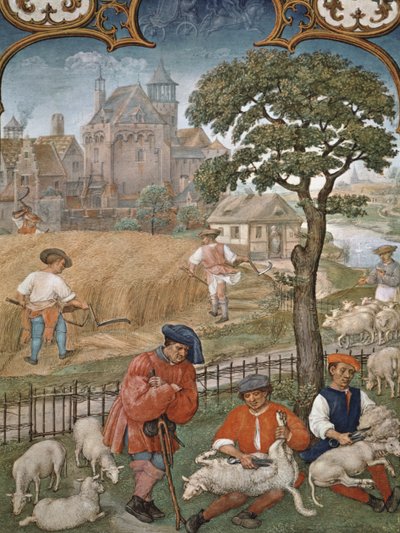 Fol.7v De maand juli: Oogst en schapenscheren, uit het Breviarium Grimani, c.1515 door Flemish School