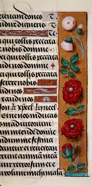 Ms. 1058-1975, f.120r: detail van een bloemenrand uit een Getijdenboek door Flemish School