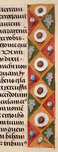 Detail van een bloemenrand uit een Getijdenboek, ca. 1500 door Flemish School