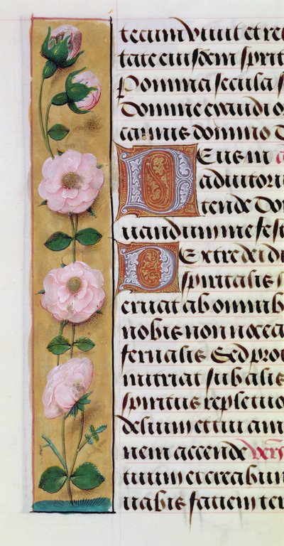 Ms. 1058-1975, f.34v: detail van een bloemenrand uit een Getijdenboek, ca.1500 door Flemish School