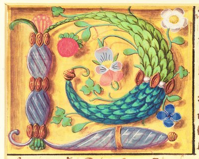Verlichte letter `P versierd met bloemen, uit een Getijdenboek, ca. 1500 door Flemish School
