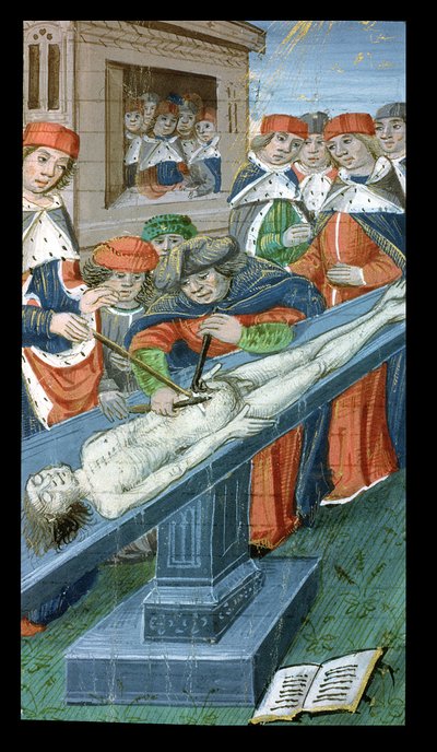 Dissectie, uit De Medina Fen I. II, door Avicenna (980-1037) door Flemish School