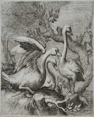 Oude Meester Gravure door Flemish School