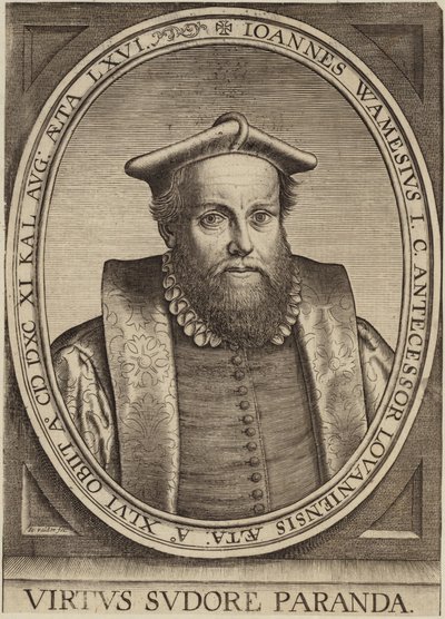 Portret van Jan Wamesius door Flemish School
