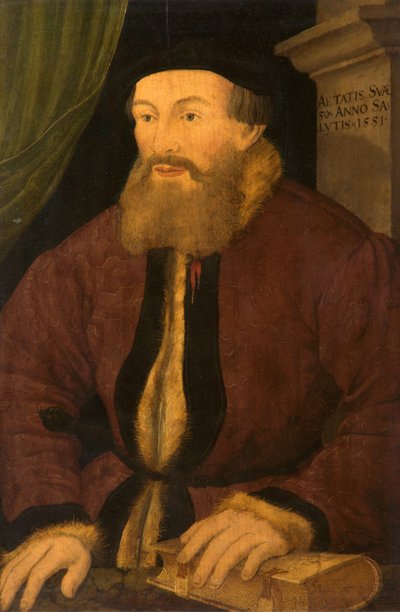 Portret van een Man, 1551 door Flemish School