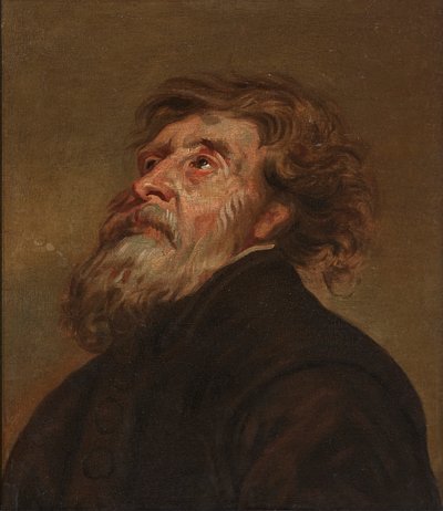 Studie van een Man door Flemish School