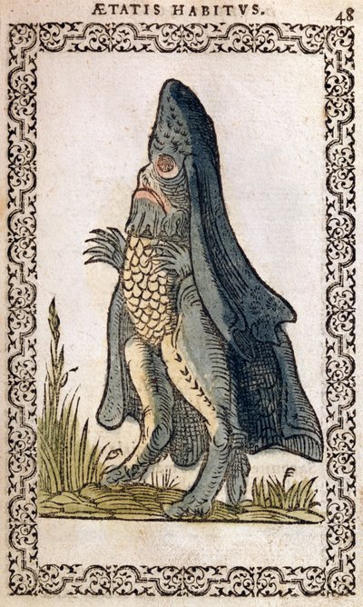 De Zeebisschop of zeemonster, illustratie uit Omnium fere gentium nostraeque aetatis Nationum Habitus et Effigies door Jean Sluperji, Antwerpen, 1572 door Flemish School