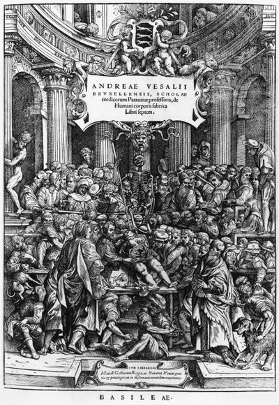 De anatomieles van Andreas Vesalius (1514-64) aan de medische school in Brussel, frontispice uit De Humani Corporis Fabrica, gepubliceerd in Basel, 1555 door Flemish School