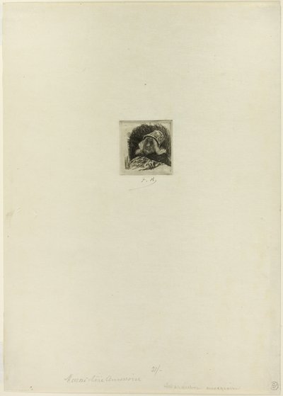Vlaamse tuinder door Félicien Rops
