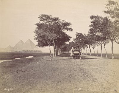 Caire. Allée de Pyramides, ca. 1870 door Félix Bonfils