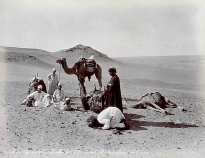 Egyptische kameeldrijvers tijdens een pauze in de woestijn. Op de voorgrond lijken twee leden van de kleine groep te bidden door Félix Bonfils