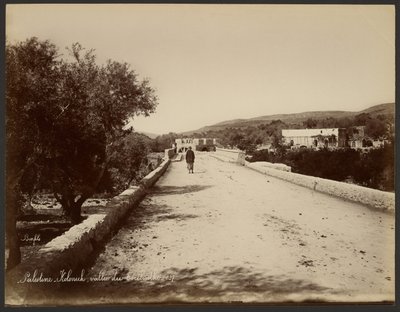 Palestina - Kolonick, Terebinthal door Félix Bonfils