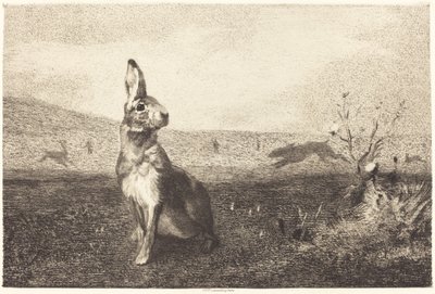 De Haas door Félix Bracquemond after Albert de Balleroy