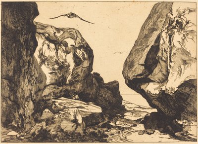 Kloof in de Rotsen (detail) door Félix Bracquemond after Jules Laurens