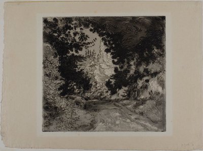 De Chemin de Coutures, in Sèvres door Félix Henri Bracquemond