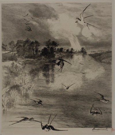 Zwaluwen door Félix Henri Bracquemond