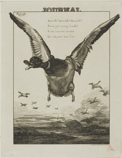 De Eend door Félix Henri Bracquemond