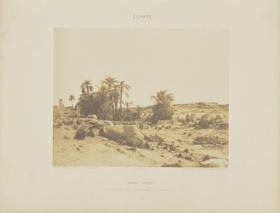 Karnak (Thebe). Laan van de Sfinxen - Algemeen zicht vanaf punt G door Félix Teynard