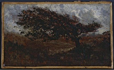 De windvlaag, tussen 1850 en 1860 door Félix Ziem