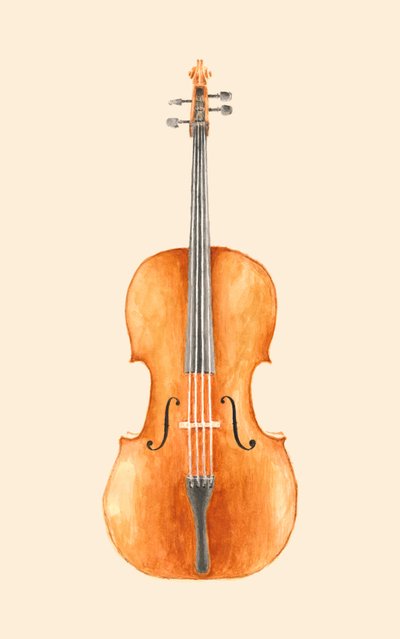 Cello door Florent Bodart