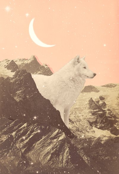 Reusachtige Wolf in Roze Bergen, 2021 (collage) door Florent Bodart