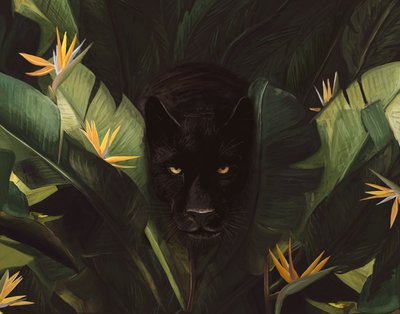 Hallo Panter door Florent Bodart