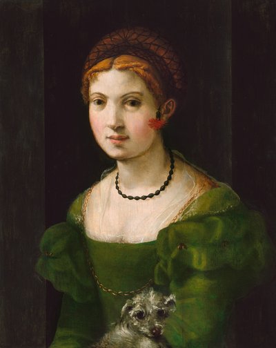 Portret van een jonge vrouw door Florentine 16th Century