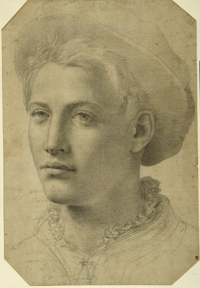 Portretkop van een jongeman met een pet, ca. 1530-40 door Florentine School