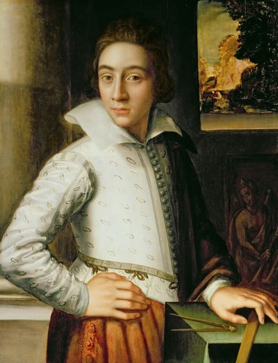 Portret van een jonge man, midden zestiende eeuw door Florentine School