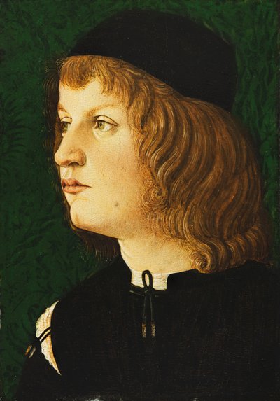 Portret van een jongeling, buste-lengte, in een donkere muts, c.1475 door Florentine School