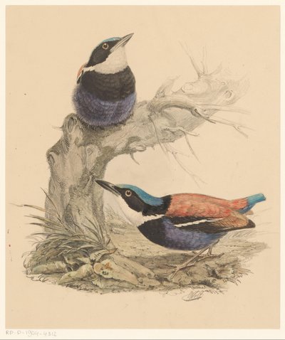 Twee vogels door Florentius Abraham Verster van Wulverhorst